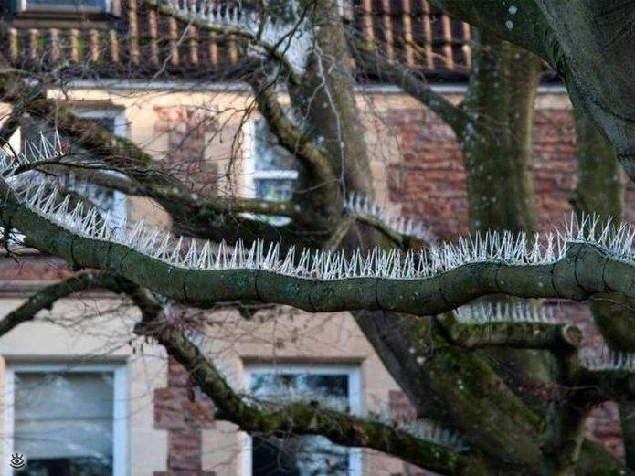 What Is Going On Here? (25 pics)