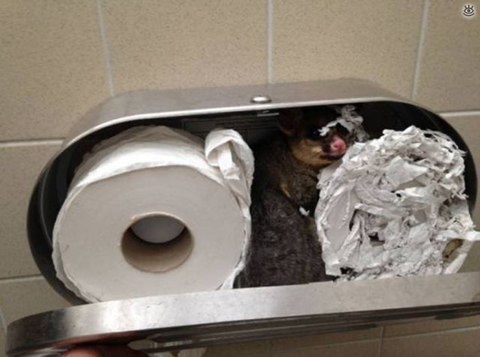 What Is Going On Here? (25 pics)