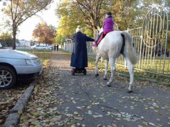 What Is Going On Here? (25 pics)