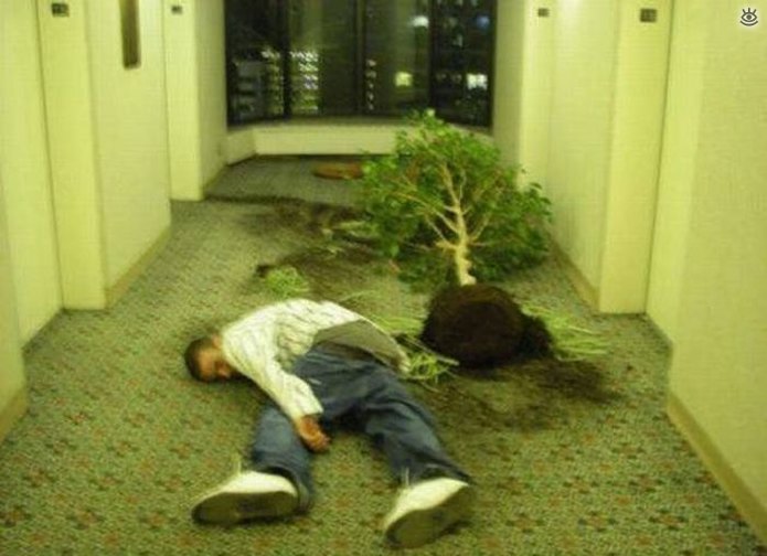 What Is Going On Here? (25 pics)