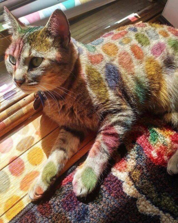 Photos For Perfectionists (23 pics)