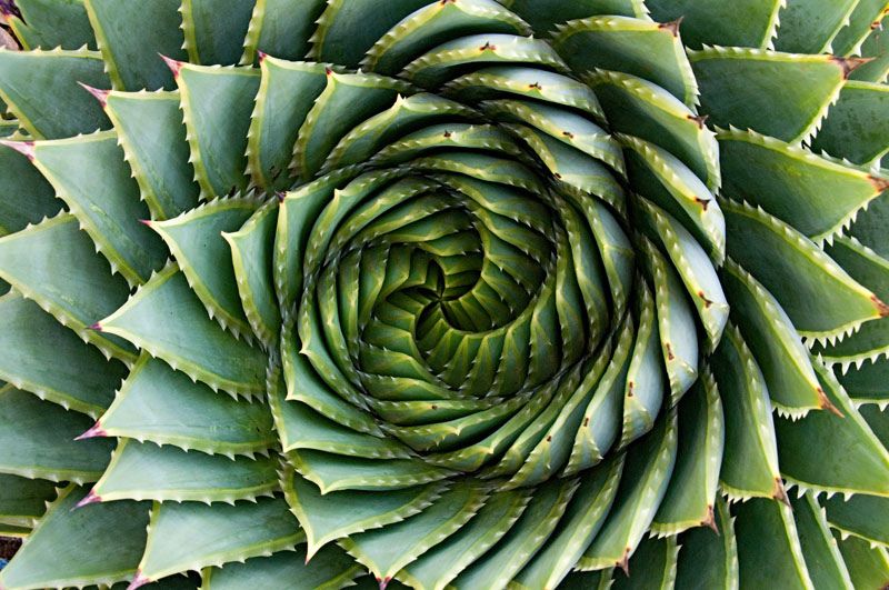 Photos For Perfectionists (23 pics)