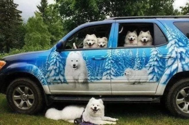 Crazy Tuning (25 pics)