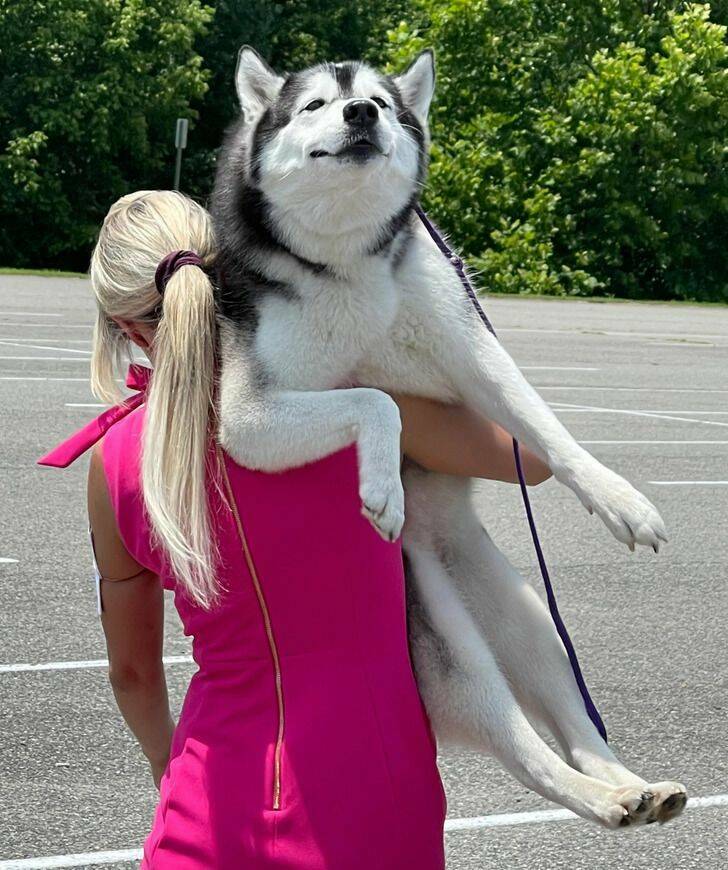 Funny Finds And Situations (30 pics)