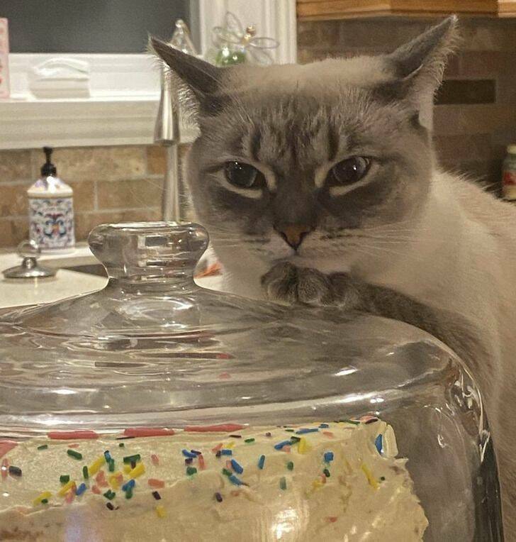 Funny Finds And Situations (30 pics)