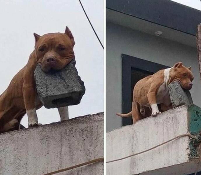Funny Finds And Situations (30 pics)
