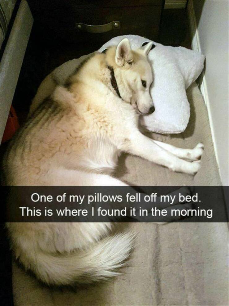Daily Pictures. Part 2 (67 pics)