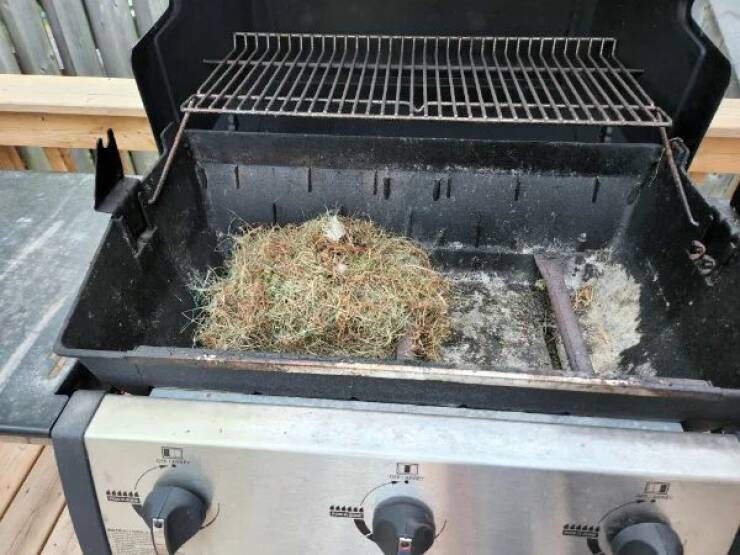 Bad Days Happen (24 pics)