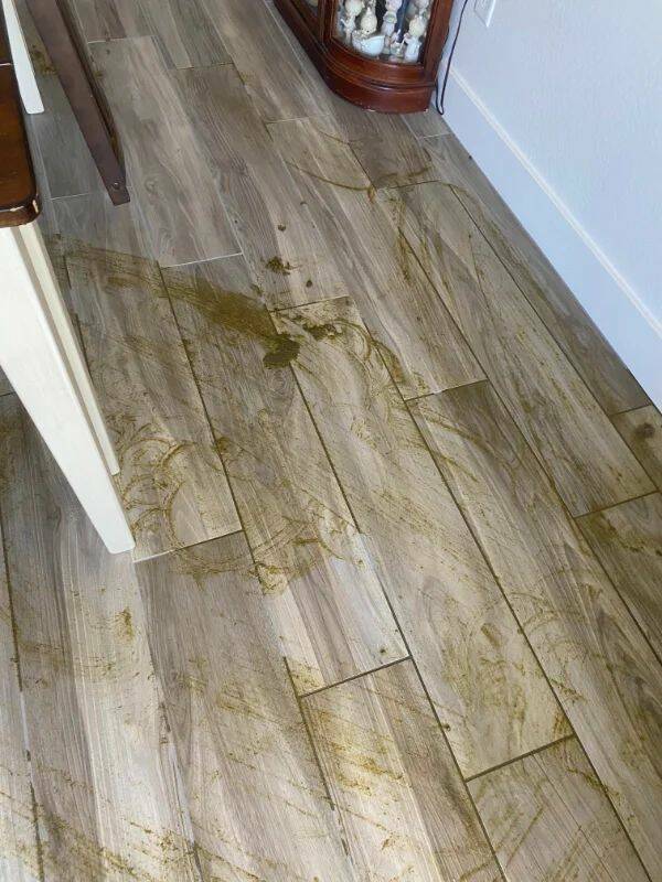Bad Days Happen (24 pics)