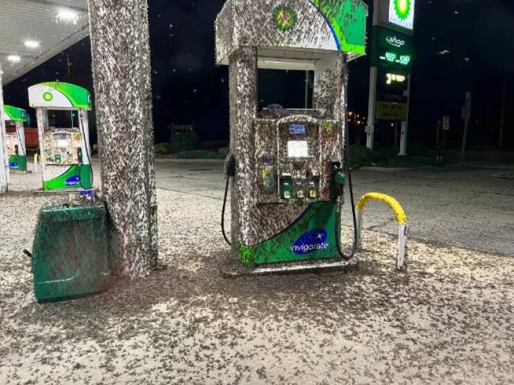 Bad Days Happen (24 pics)