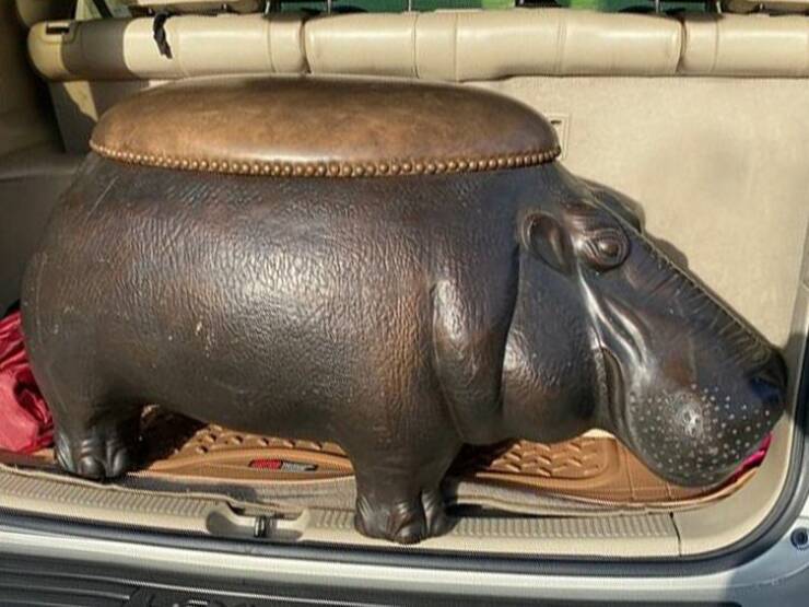 Unusual Finds In Thrift Shops (15 pics)