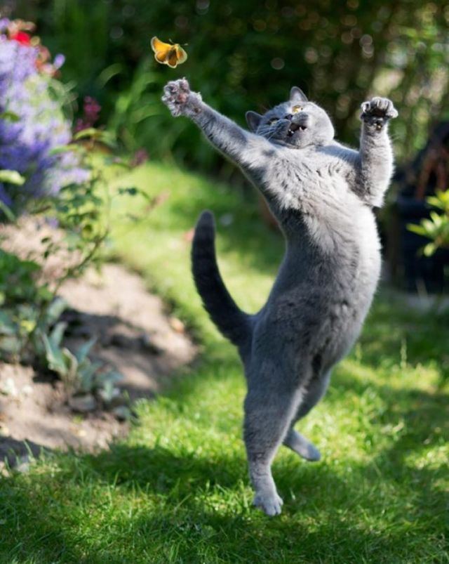 Right Moment (25 pics)