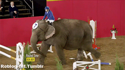 Acid GIFs, July 29 (25 gifs)