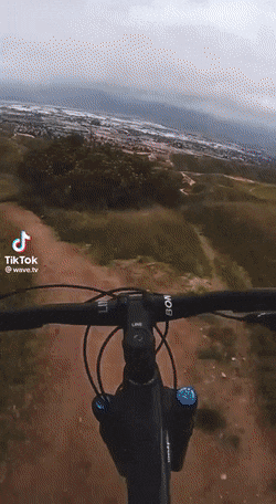 Acid GIFs, July 29 (25 gifs)