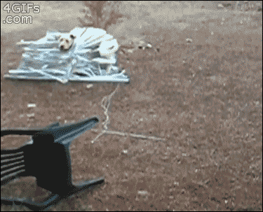 Acid GIFs, July 29 (25 gifs)