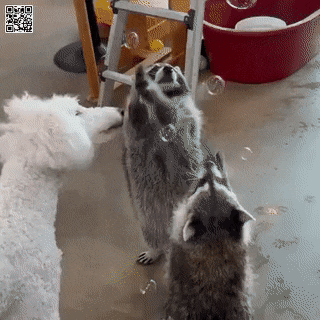 Acid GIFs, July 29 (25 gifs)