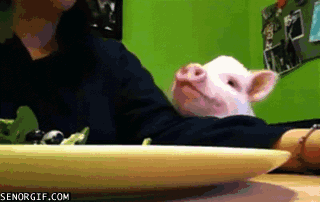 Acid GIFs, July 29 (25 gifs)