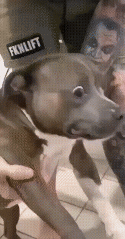 Acid GIFs, July 29 (25 gifs)
