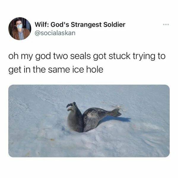 Daily Pictures. Part 2 (61 pics)