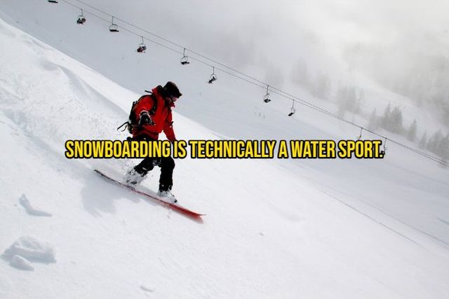Interesting Thoughts (15 pics)