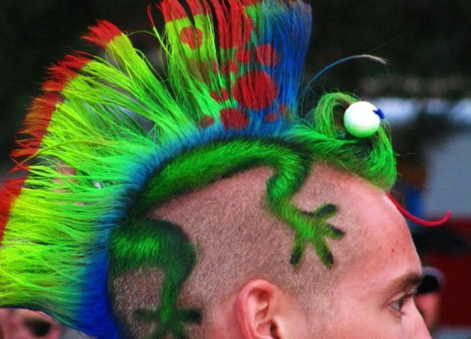 Odd Haircuts (20 pics)
