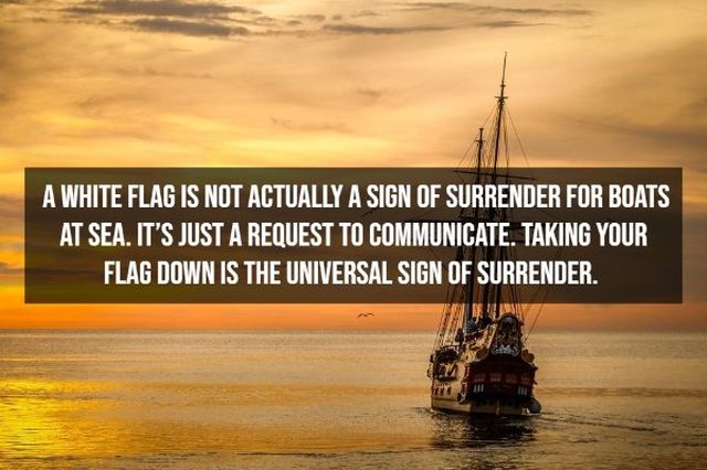 Random Facts (12 pics)
