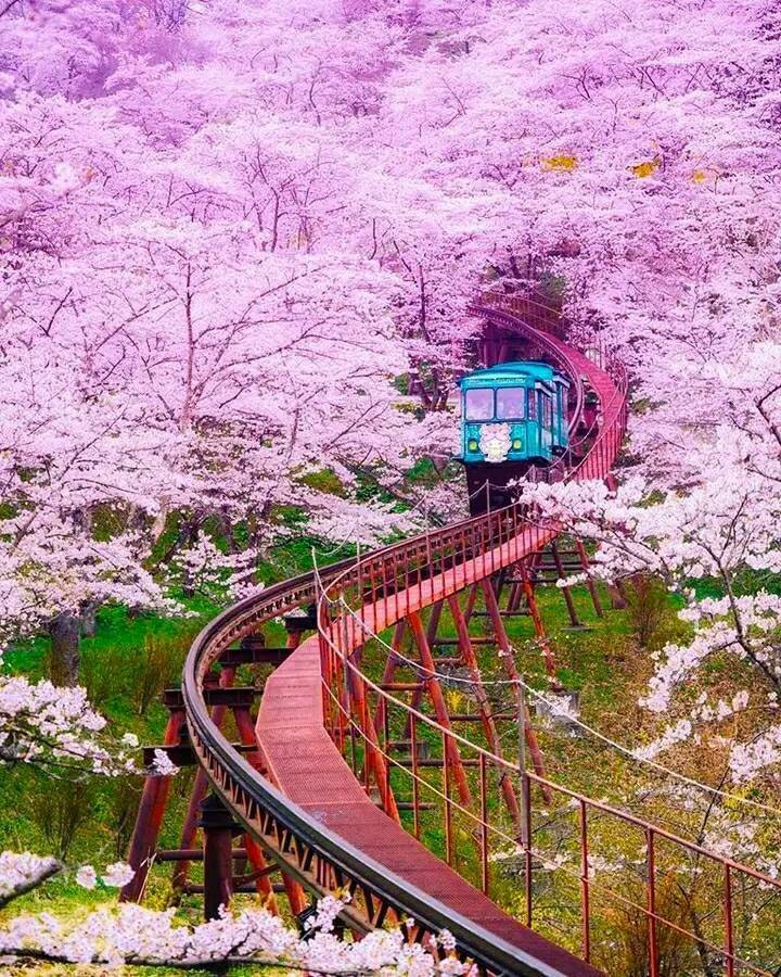 Daily Pictures. Part 1 (68 pics)