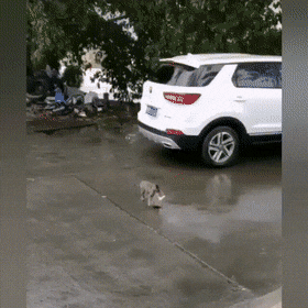 Acid GIFs, August 1 (25 gifs)