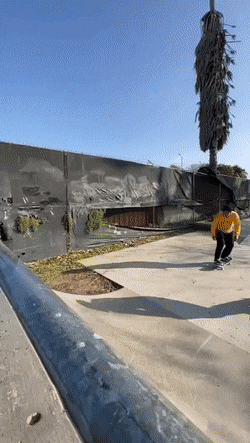 Acid GIFs, August 1 (25 gifs)