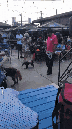 Acid GIFs, August 1 (25 gifs)
