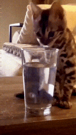 Acid GIFs, August 1 (25 gifs)