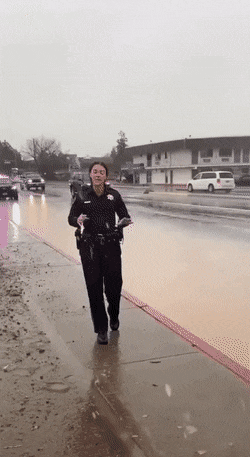 Acid GIFs, August 1 (25 gifs)