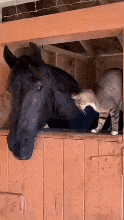 Acid GIFs, August 1 (25 gifs)