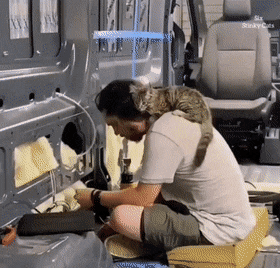 Acid GIFs, August 1 (25 gifs)