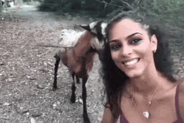 Acid GIFs, August 1 (25 gifs)