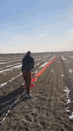 Acid GIFs, August 1 (25 gifs)