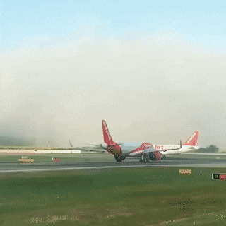 Acid GIFs, August 1 (25 gifs)