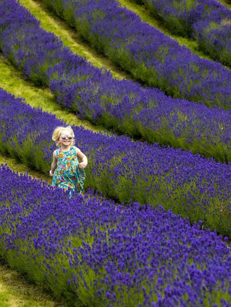 Memorable Photos (21 pics)