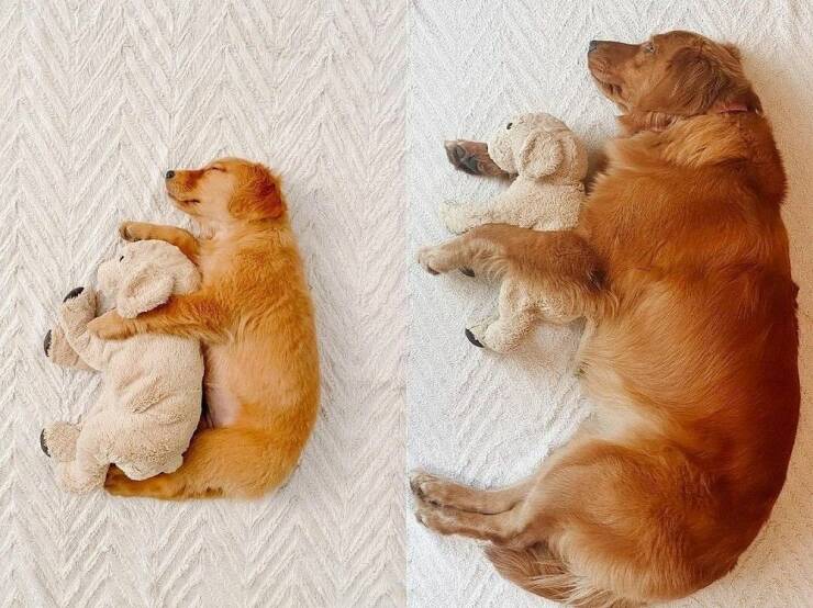 Memorable Photos (21 pics)