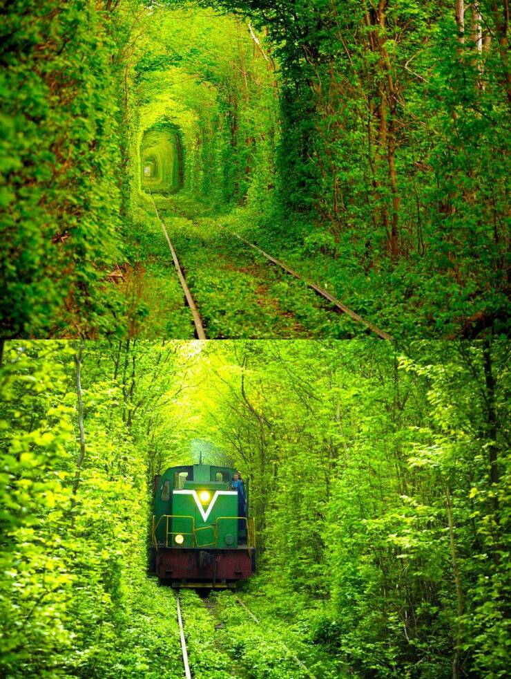 Memorable Photos (21 pics)