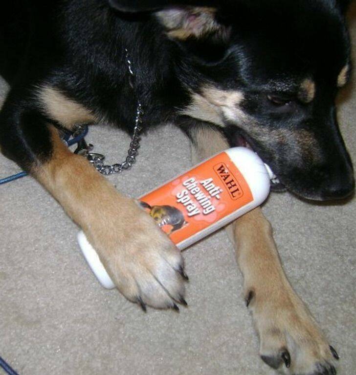 A little Bit Of Irony (20 pics)