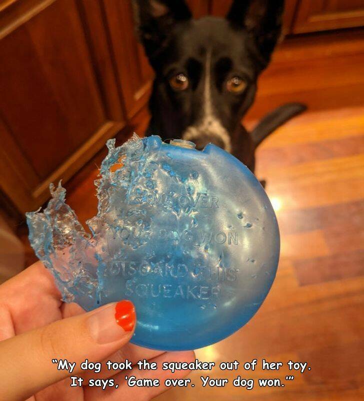 A little Bit Of Irony (20 pics)