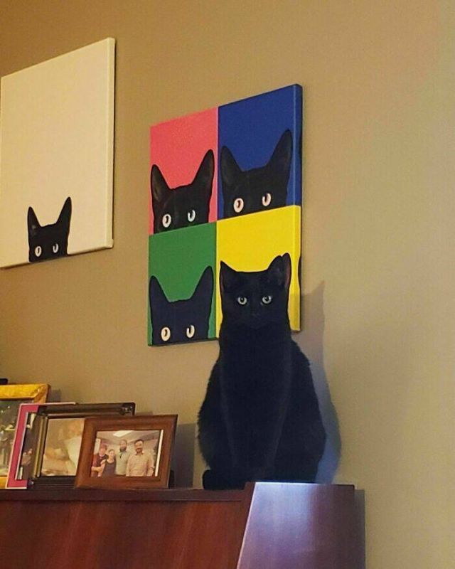 Cute And Funny Animals (25 pics)