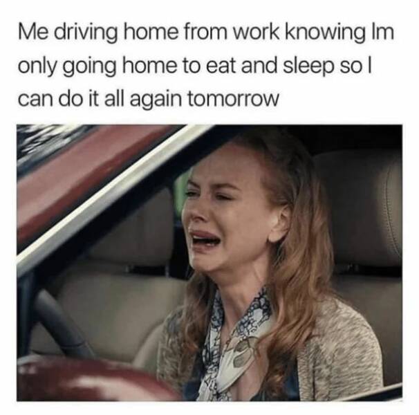 Memes About Job (19 pics)