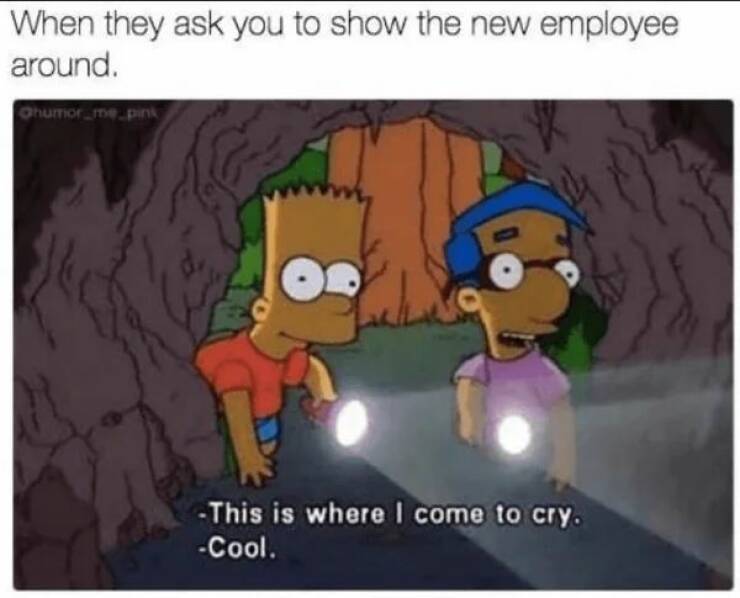 Memes About Job (19 pics)