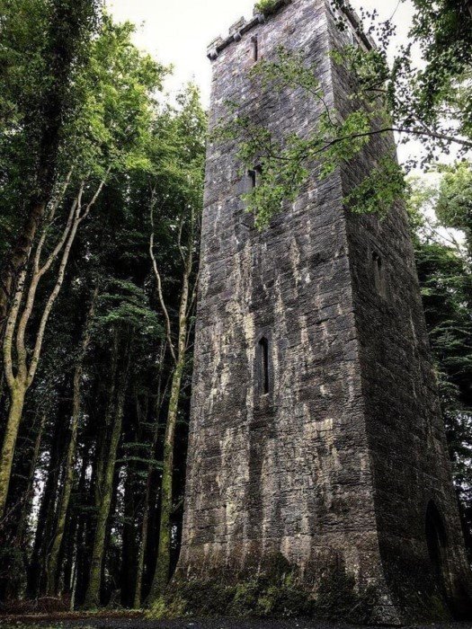 Interesting Finds In The Forests (15 pics)