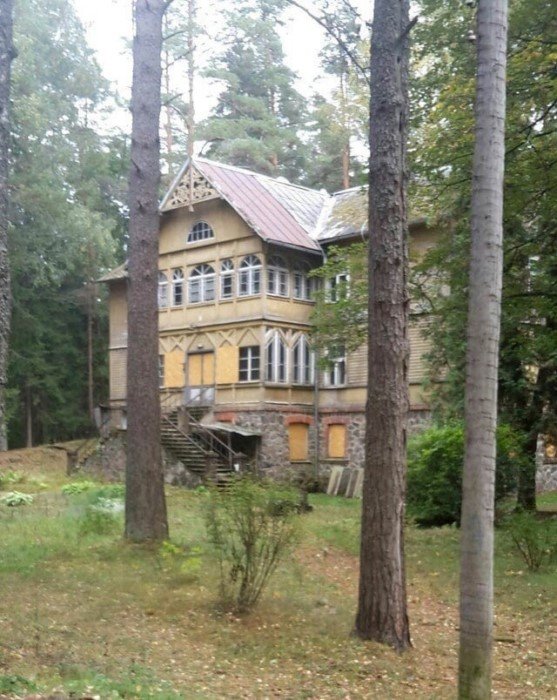 Interesting Finds In The Forests (15 pics)