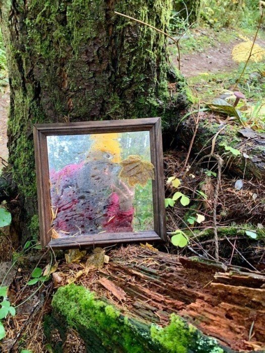 Interesting Finds In The Forests (15 pics)