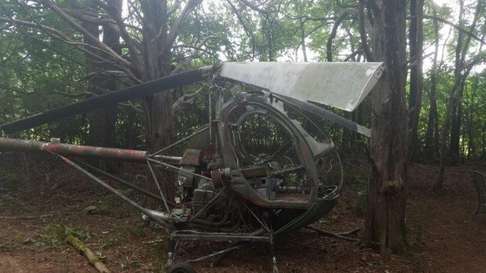 Interesting Finds In The Forests (15 pics)