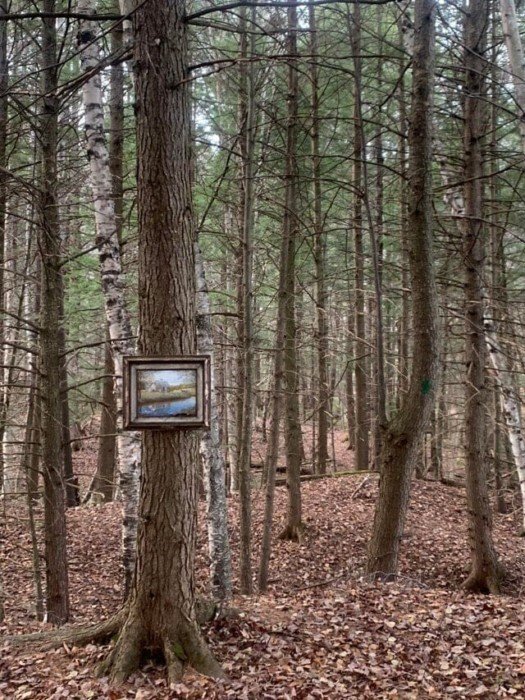 Interesting Finds In The Forests (15 pics)